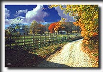 Virginia, horse country, horses, autumn, fall colors, photography, art prints, posters, post cards